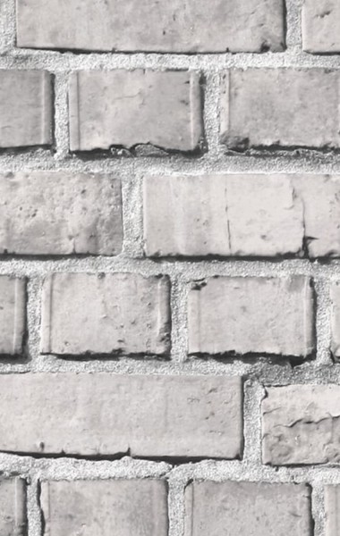 Rebel Walls Tapete Bricks Ash