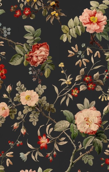 Rebel Walls Tapete Pops Thorn Rose petit