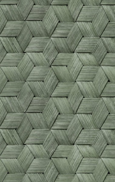 REBEL WALLS Tapete Small Birch Bark Braids Forest Green