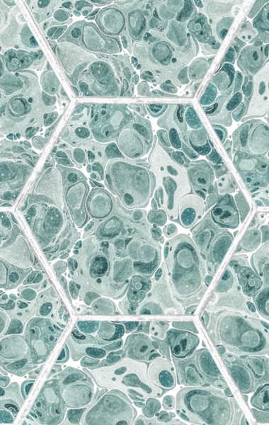 Rebel Walls Tapete Marbled Hexagon Tiles green