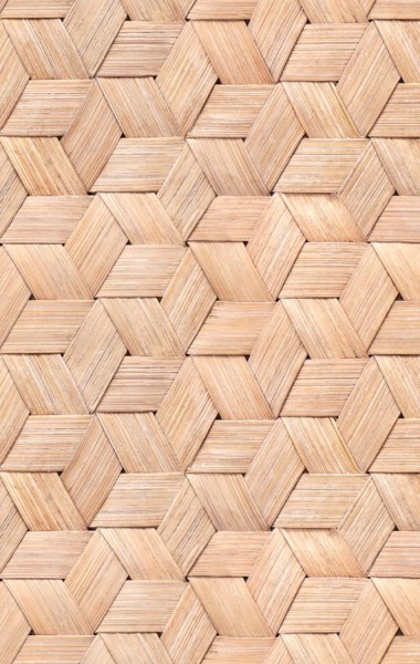 REBEL WALLS Tapete Small Birch Bark Braids Nature